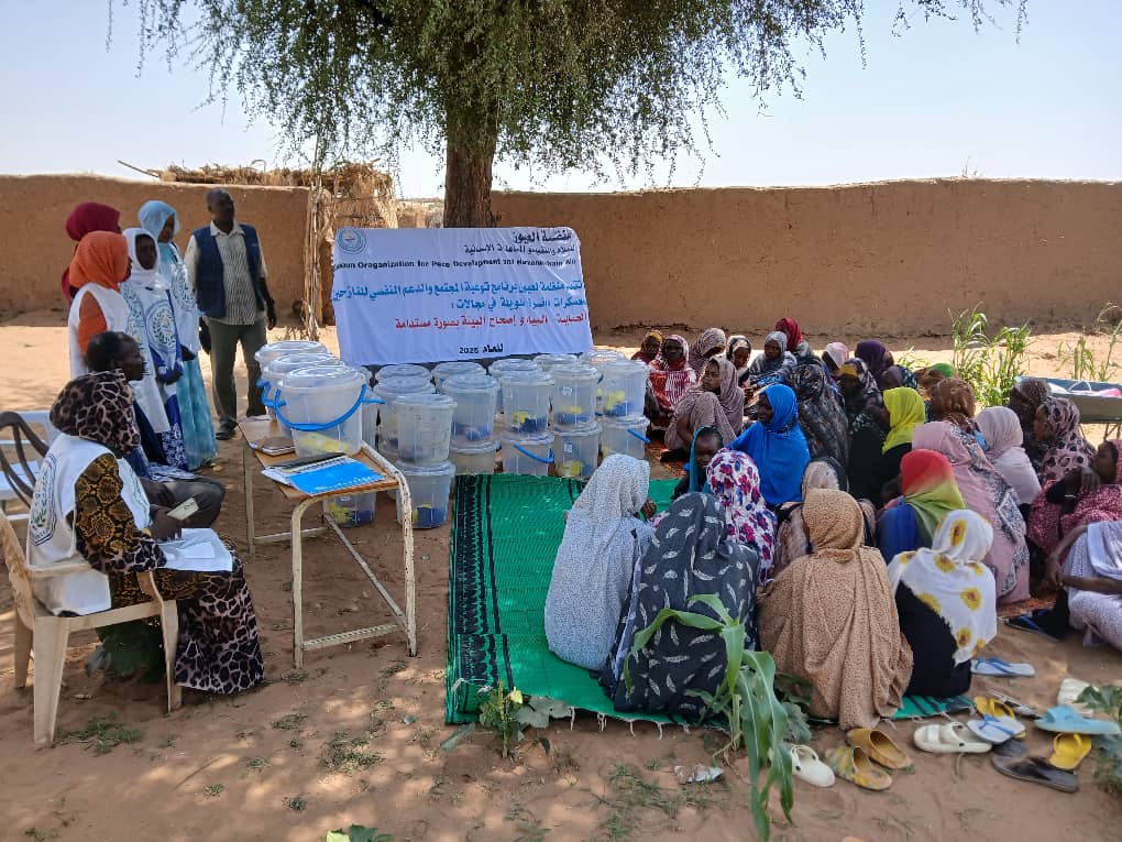 Children's Activities